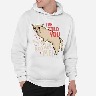Funny I Have Told You Dont Bother Me Angry Cat Hoodie - Seseable