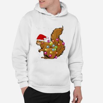 Funny Squirrel Christmas Squirrel Christmas Hoodie - Seseable