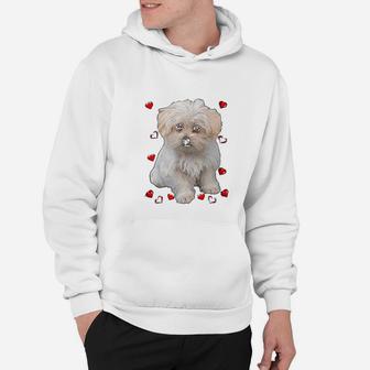 Maltese Dog Lover Dogs Puppies Owners Gift Hoodie - Seseable