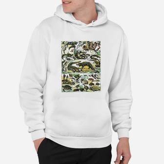 Reptiles Collection Chart Turtle Snake Species Vintage Hoodie - Seseable