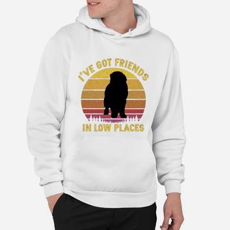 Vintage Newfoundland I Have Got Friends In Low Places Dog Lovers Hoodie - Seseable