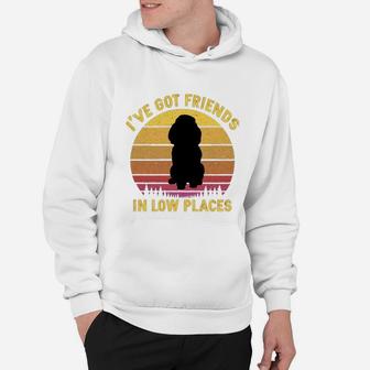 Vintage Poodle I Have Got Friends In Low Places Dog Lovers Hoodie - Seseable