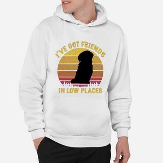 Vintage Shih Tzu I Have Got Friends In Low Places Dog Lovers Hoodie | Seseable FR