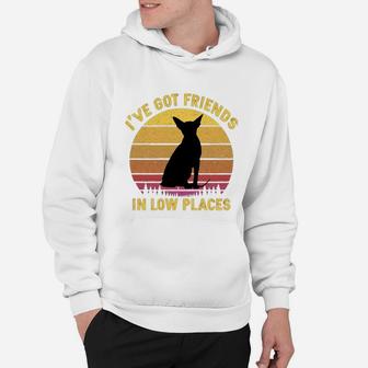 Vintage Sphynx I Have Got Friends In Low Places Cat Lovers Hoodie - Seseable
