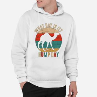 What Day Is It Camel Retro Funny Hump Day Hoodie - Seseable