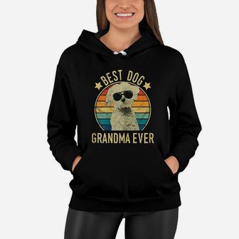 Best Dog Grandma Ever Maltese Vintage Women Hoodie - Seseable