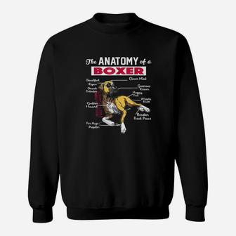 Anatomy Of A Boxer Dog Funny For Boxer Lover Sweat Shirt - Seseable
