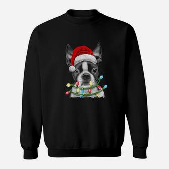 Boston Terrier Santa Christmas Tree Lights Xmas Gifts Boys Sweat Shirt - Seseable