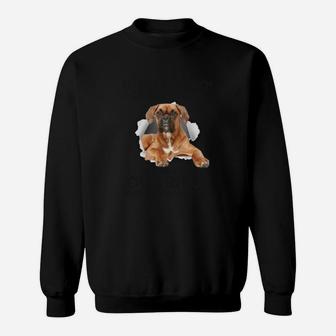 Boxer Ich Sage Es Dir Doch Ich Bin Kein Hund Sweatshirt - Seseable