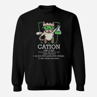 Cation Cute Science Cat Pawsitive Element Chemistry Teacher Sweat Shirt - Seseable