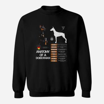 Doberman Dog Anatomy Mom Grandma Sweat Shirt - Seseable