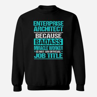Enterprise Architect Sweat Shirt - Seseable