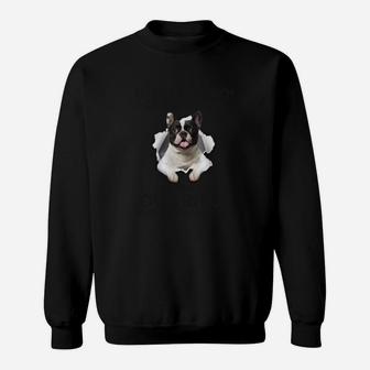 Französische Bulldogge Sweatshirt Ich bin kein Hund Lustig - Seseable