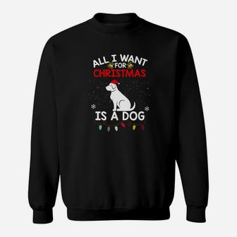 Funny Dog Christmas All I Want For Christmas Is A Dog Sweat Shirt - Seseable