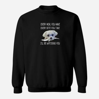 Funny Maltese Dog Watching Owner Quote Shirts Puppy Mom Dad Sweat Shirt - Seseable