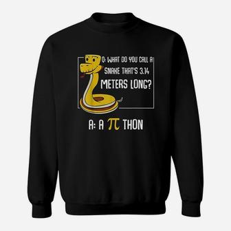 Funny Math Lover Number Pi Thon Snake Calculating Sweat Shirt - Seseable