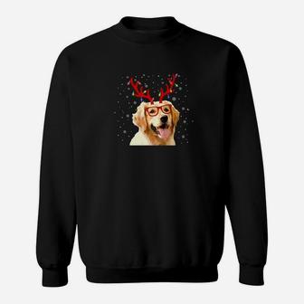 Golden Retriever With Reindeer Antlers Christmas Lights Sweat Shirt - Seseable
