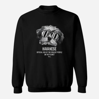 Havanese Official Dog Of The Coolest Pup Lovers Sweat Shirt - Seseable