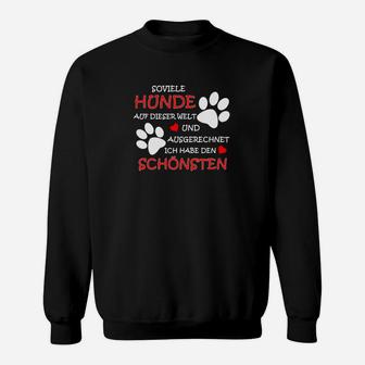 Hunde Sweatshirt Ich habe den schönsten Hund, Spruch für Hundebesitzer - Seseable