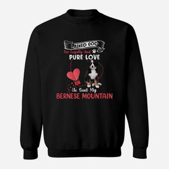 I Asked God For Loyalty And Pure Love He Sent My Bernese Mountain Funny Dog Lovers Sweatshirt - Seseable