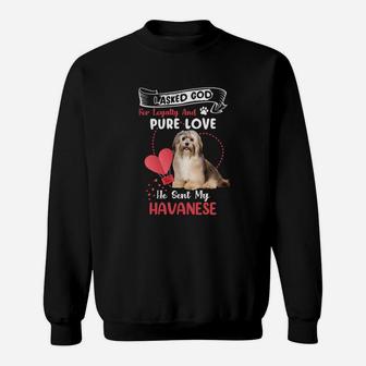 I Asked God For Loyalty And Pure Love He Sent My Havanese Funny Dog Lovers Sweatshirt - Seseable