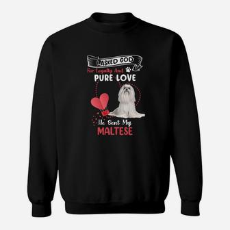 I Asked God For Loyalty And Pure Love He Sent My Maltese Funny Dog Lovers Sweatshirt - Seseable