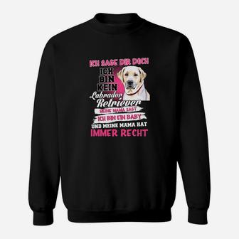 Ich Bin Kein Labrador Retriever Sweatshirt - Seseable