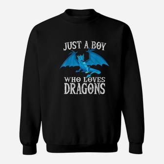 Just A Boy Who Loves Dragons Funny Dragon Costume Gift Sweatshirt - Seseable