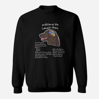 Labrador Brain Black Yellow Chocolate Lab Gift Sweat Shirt - Seseable