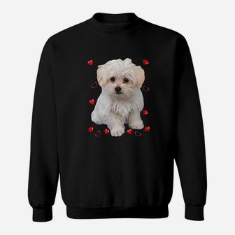 Maltese Dog Lover Dogs Puppies Owners Sweat Shirt - Seseable