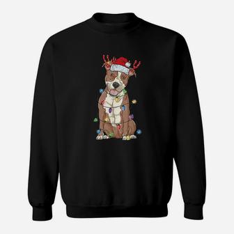 Pitbull Christmas Santa Hat Xmas Light Gift Pit Bull Dad Mom Sweat Shirt - Seseable