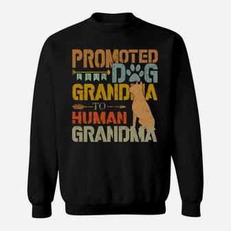 Promoted From Dog Grandma To Human Grandma Retro Vintage Sweat Shirt - Seseable