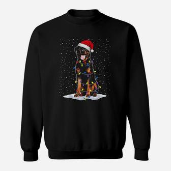 Rottweiler Santa Tree Lights Xmas Gifts Sweat Shirt - Seseable
