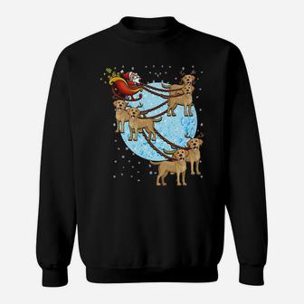Santa Riding Golden Retriever Reindeer Funny Xmas Gift Tee Sweat Shirt - Seseable