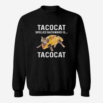 Taco Cat Sweat Shirt - Seseable
