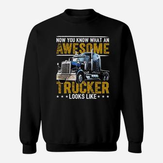 Trucker Big Rig Semi Trailer Truck Driver Gift Sweatshirt - Seseable