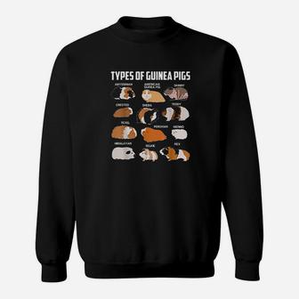 Types Of Guinea Pigs Owner Cool Animal Kids Xmas Gift Sweat Shirt - Seseable