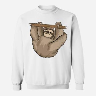 A Cute Sloth Climbing Tree Cartoon Animal Gift Sweatshirt - Seseable