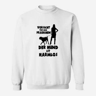 Beschränkung Exklusiv tes Hunden Sweatshirt - Seseable