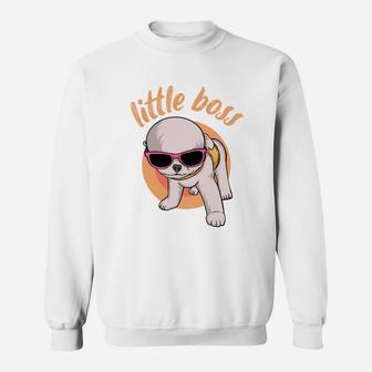 Cool Little Boss Funny Chihuahua Dog With Sunglasses Sweatshirt - Seseable