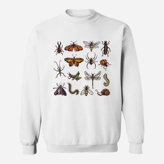 Entomology Collection Of Insects Funny Bug Sweat Shirt - Seseable