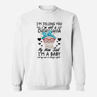 Funny Chihuahua Chihuahua Gifts My Mom Said Im A Baby Sweat Shirt - Seseable