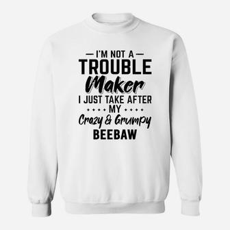 I Am Not A Trouble Maker I Just Take After My Crazy And Grumpy Beebaw Funny Grandpa Gift Sweat Shirt - Seseable