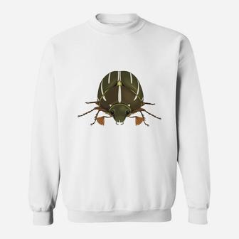 Insect Green Bug T-shirt Sweat Shirt - Seseable