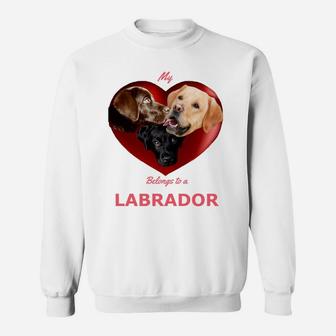 Labrador Dog Shows Yellow Lab Choc Lab Black Lab Heart Sweat Shirt - Seseable