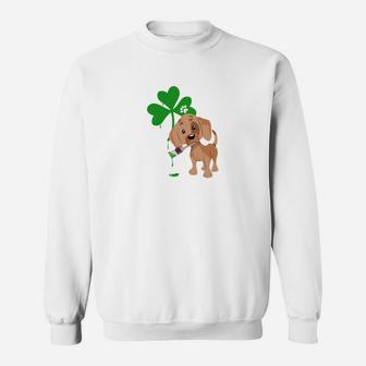 Saint Patricks Day Dog Green Shamrock Dachshund Sweat Shirt - Seseable
