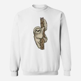 Sloth Climbing Tree Cartoon Character Gift Sweatshirt | Seseable CA