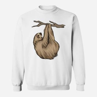 Sloth Is Sleeping Climbing Tree Funny Cartoon Animal Sweatshirt - Seseable
