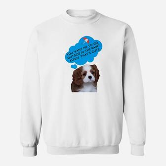 Teddy Bear Dog You Want Me To Go Outside In The Rain Sweat Shirt - Seseable