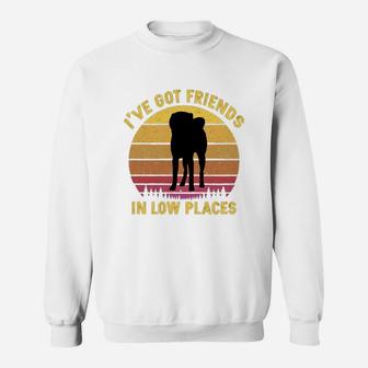 Vintage Akita Inu I Have Got Friends In Low Places Dog Lovers Sweat Shirt - Seseable